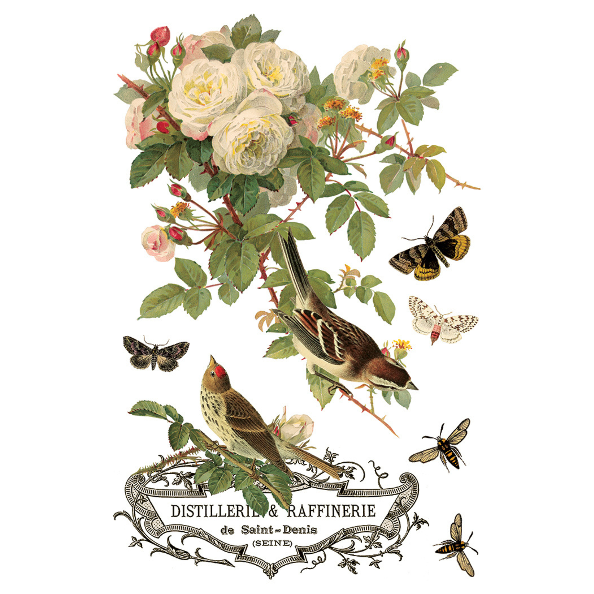 Vintage-style illustration of flowers, birds, and insects with decorative text on a white background.