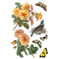 Vintage-style illustration of flowers, birds, and butterflies on a white background