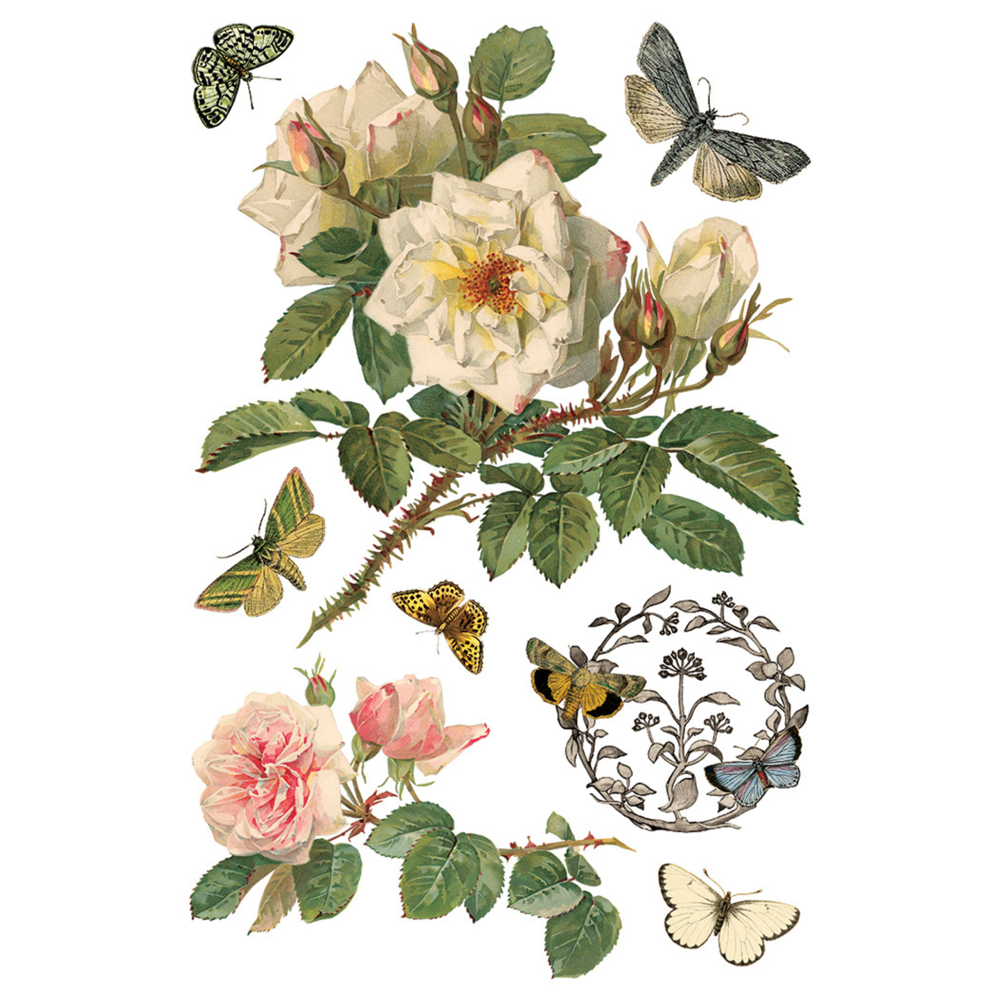 Vintage-style illustration of flowers and butterflies on a white background
