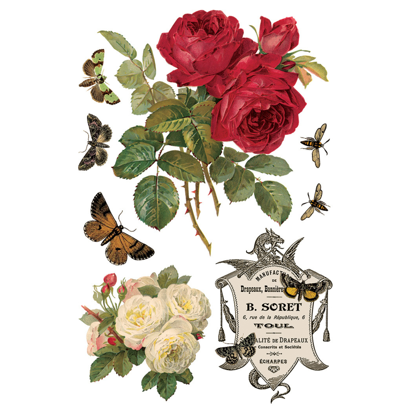 Vintage-style illustration of red roses, green leaves, and butterflies with a decorative label on a white background.