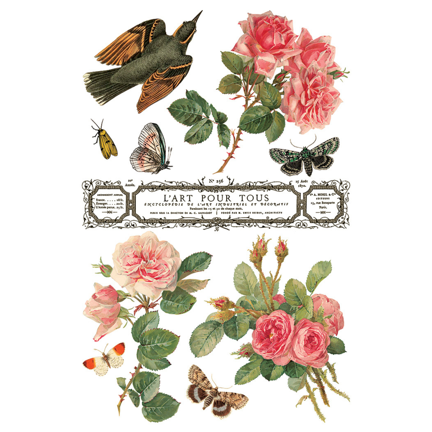 Vintage-style illustrations of birds, flowers, and butterflies on a white background.