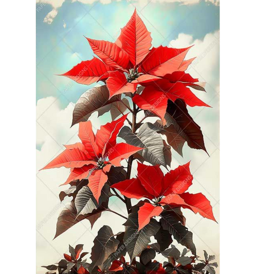 Tall red poinsettia plant with green leaves against a light blue sky background.