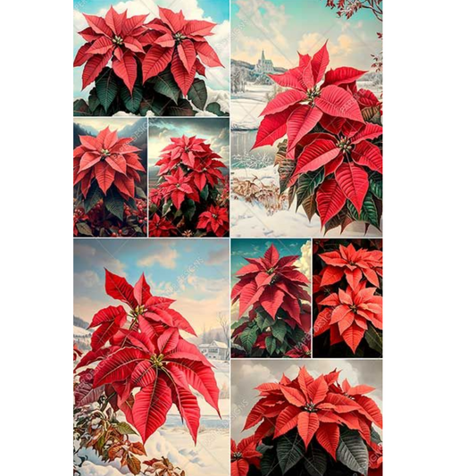 Collage of red poinsettia flowers with a snowy landscape background.