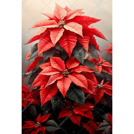 Red poinsettia flowers with green leaves on a textured and muted background.