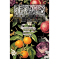 "Clementine" IOD Transfer by Iron Orchid Designs. Front cover. Iron Orchid Designs transfer sheet with floral and fruit design. Available at Milton's Daughter.