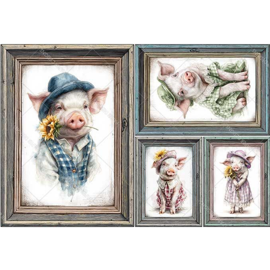 Set of four framed illustrations of pigs in various outfits on a white background.