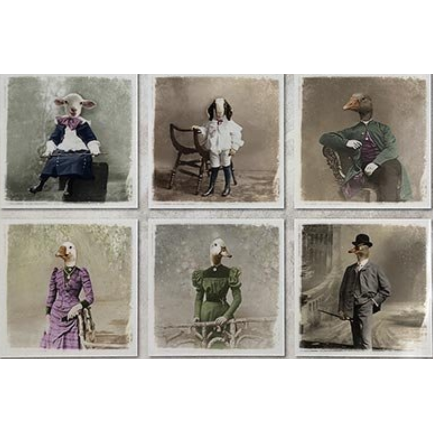 Set of six vintage-style portraits featuring animals in human clothing.