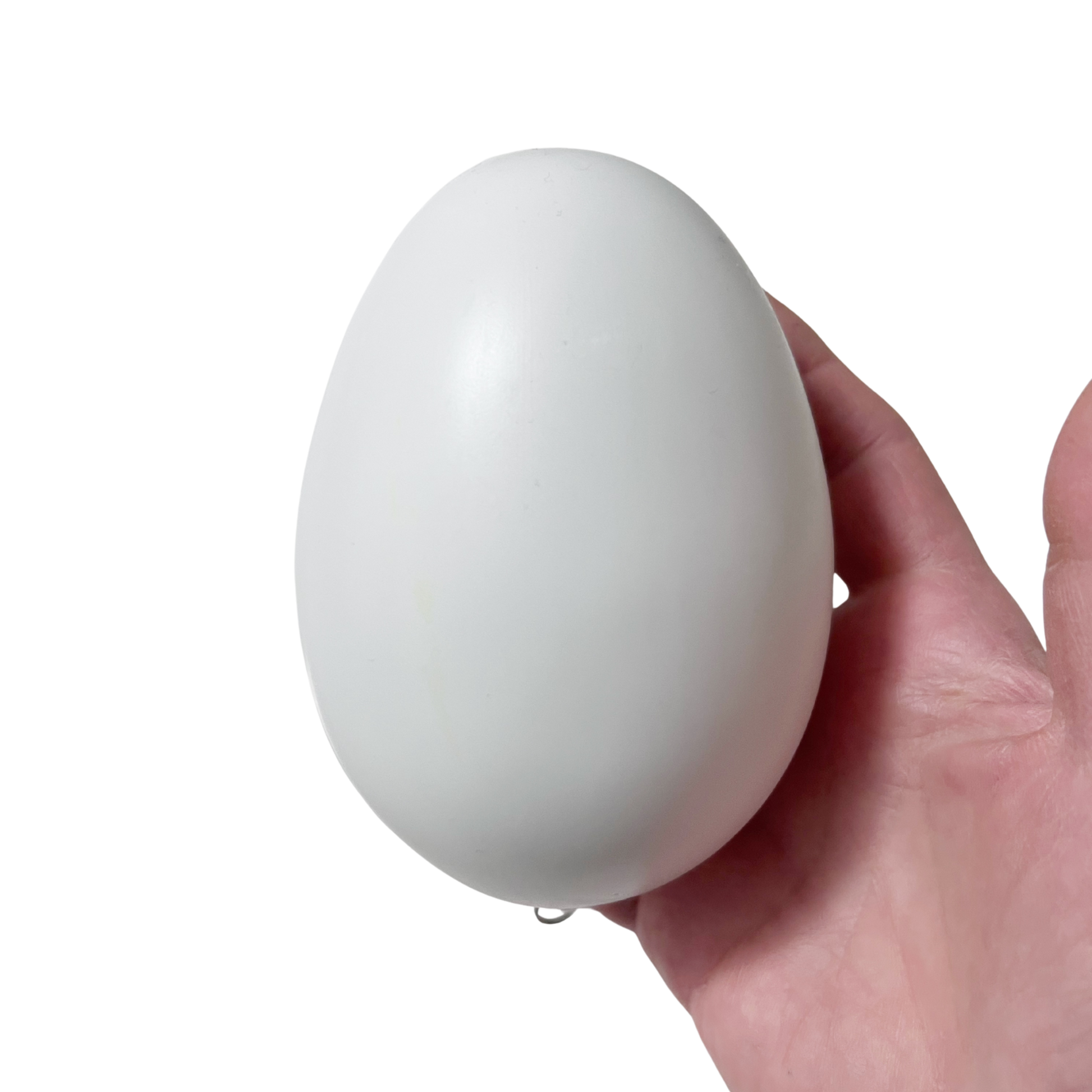 Hand holding a white egg shaped ornament against a white background