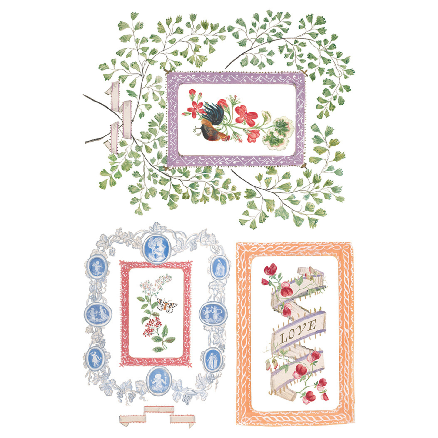 Decorative framed illustrations with floral and botanical designs on a white background