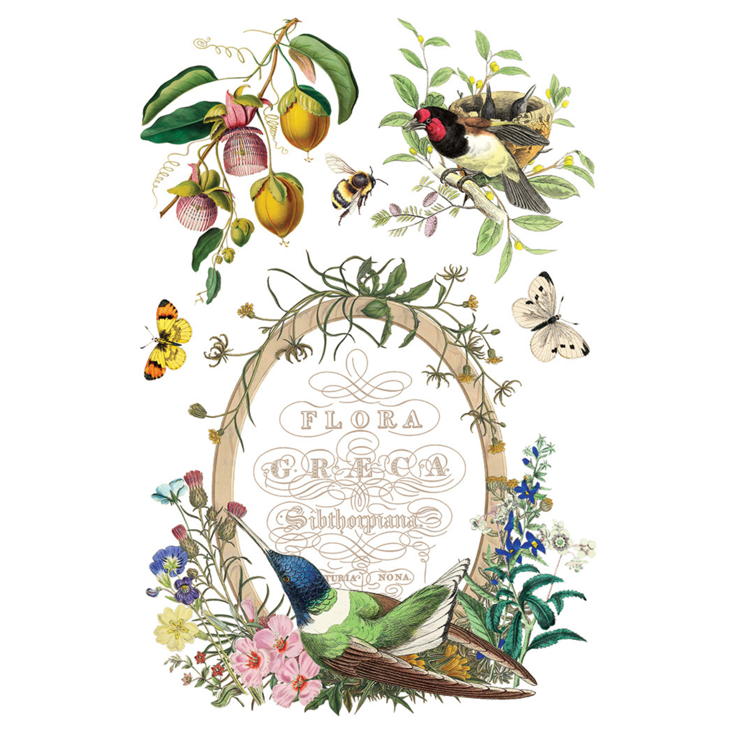 Decorative design with birds, flowers, and fruits, featuring the text 'Flora Greca'.