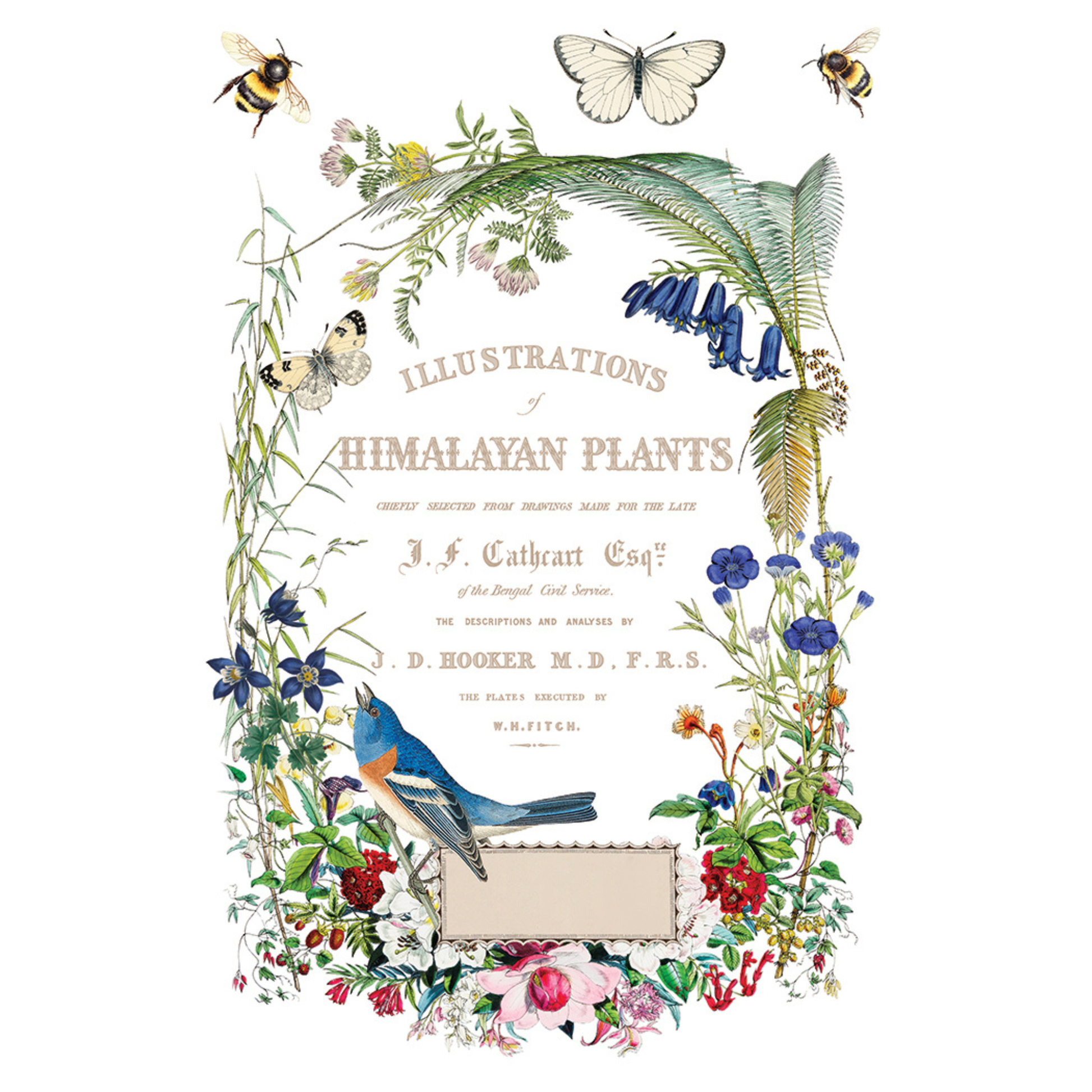 Decorative border with illustrations of plants, birds, and butterflies with the text "Himalayan Plants" on a white background.