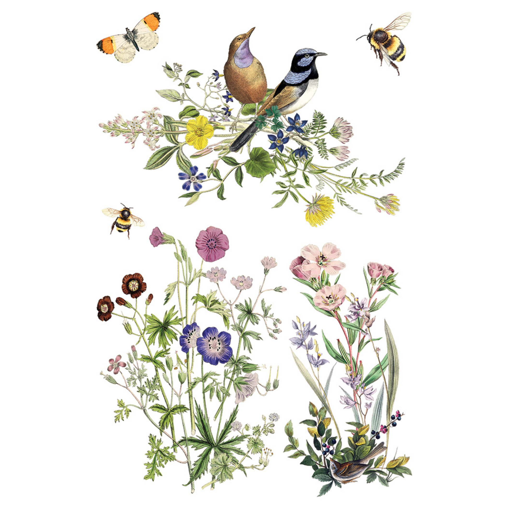Illustration of flowers, birds, and bees on a white background