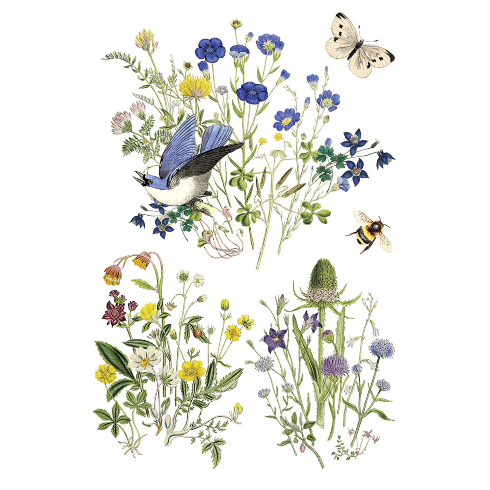 Illustration of various flowers, a butterfly, and a bee on a white background