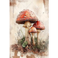 Group of Toadstools