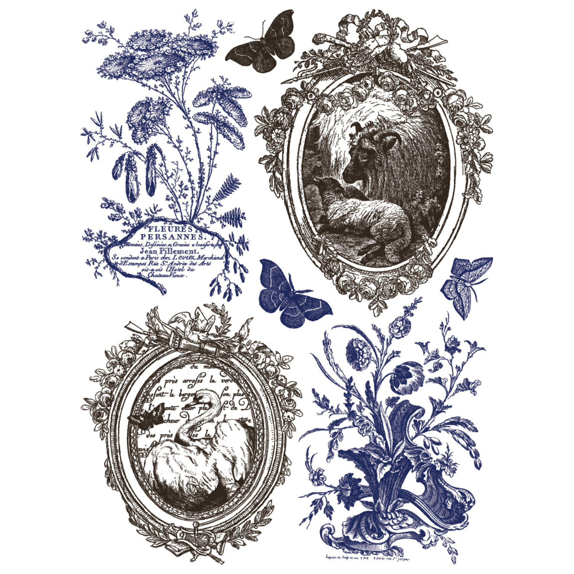 Decorative design with floral elements, butterflies, and framed illustrations on a white background
