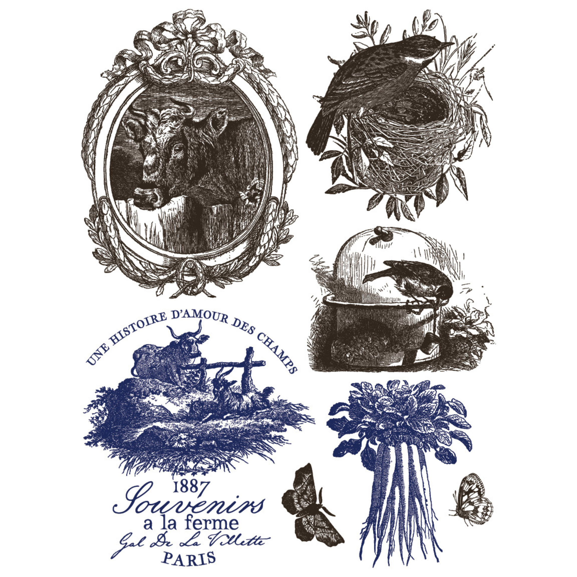 Collection of vintage-style illustrations with text on a white background