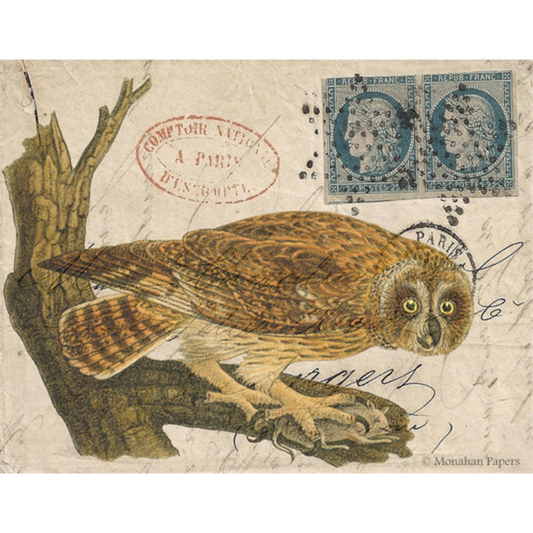 "Hunter Owl" decoupage paper by Monahan Paper. 11" x 17" available at Milton's Daughter.