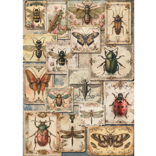 Collage of vintage-style illustrations of insects on a textured background.
