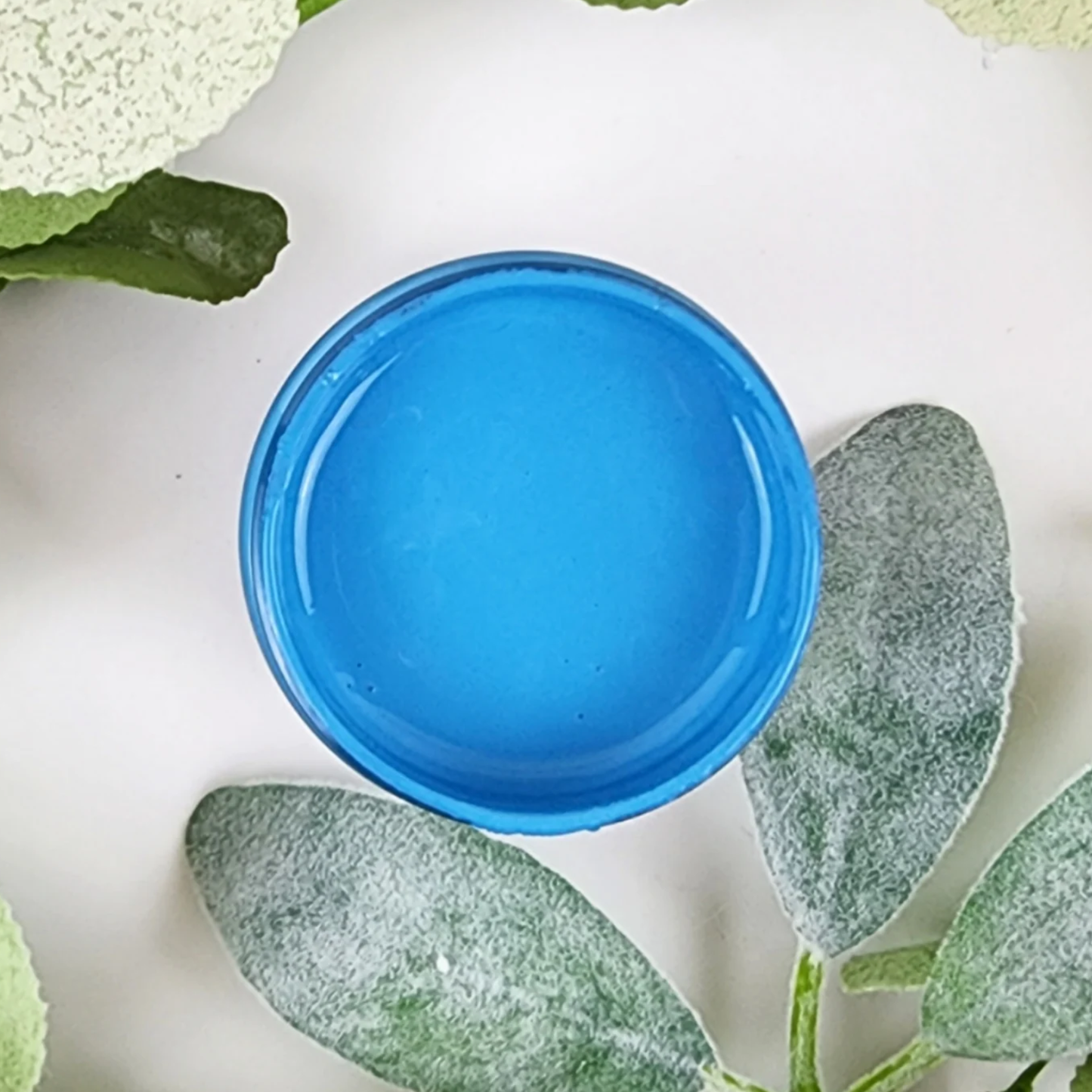 Image of open jar of bright turquoise blue paint with leaves a white flower on a wihte background.