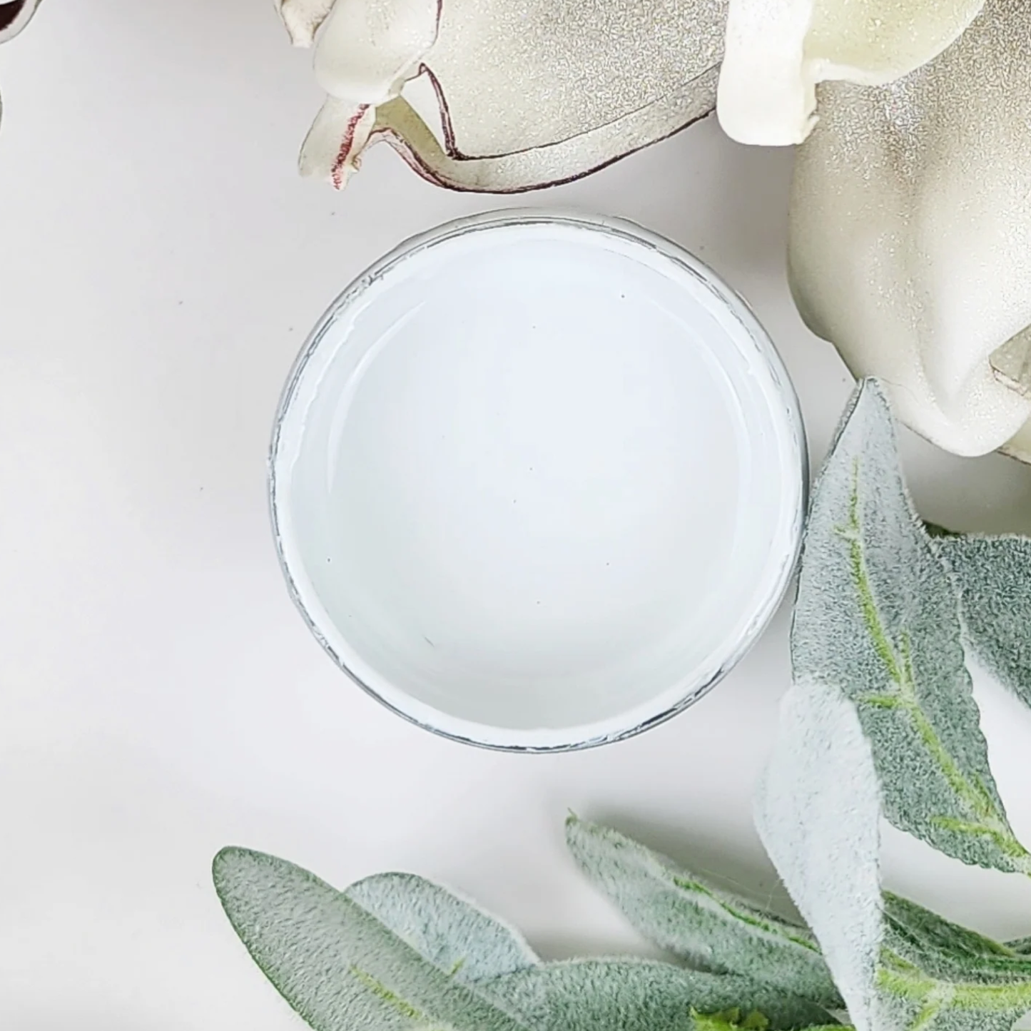Image of open jar of greyish-white paint with leaves and flower petals on a white background.