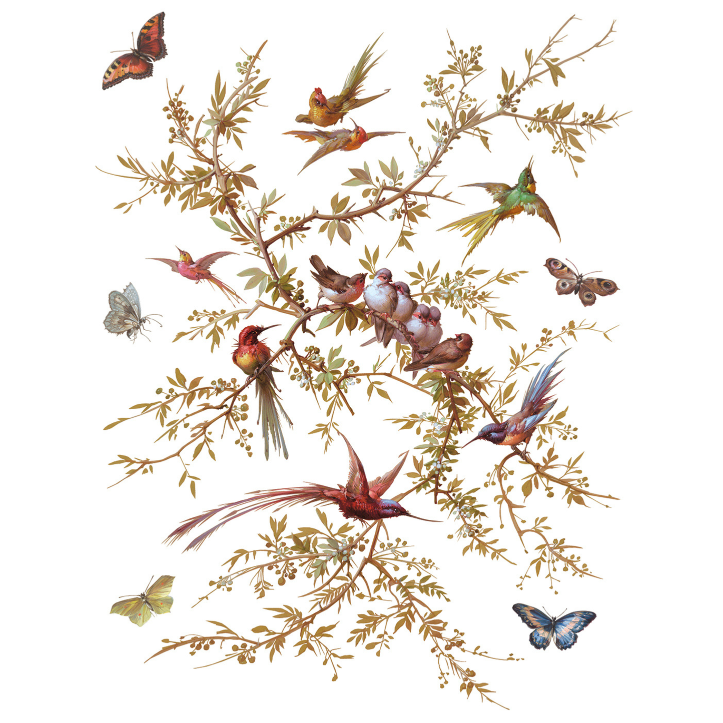 Illustration of birds and butterflies on a white background