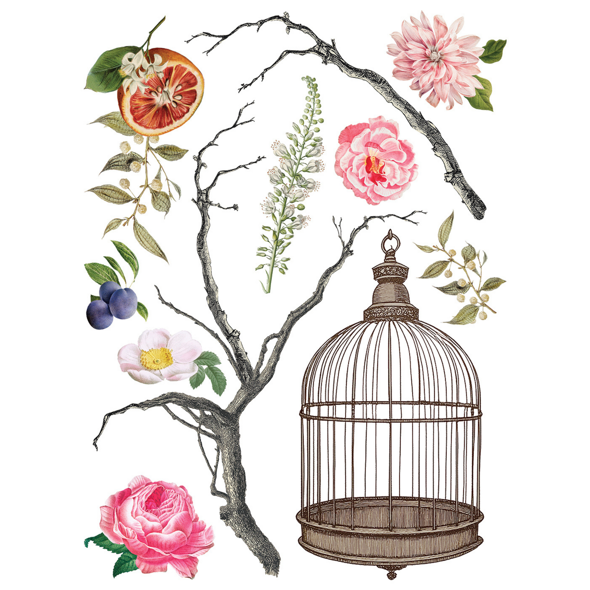 "Menagerie" IOD Transfer by Iron Orchid Designs. Eight 12" x 16" sheets. Available at Milton's Daughter. Page 1.