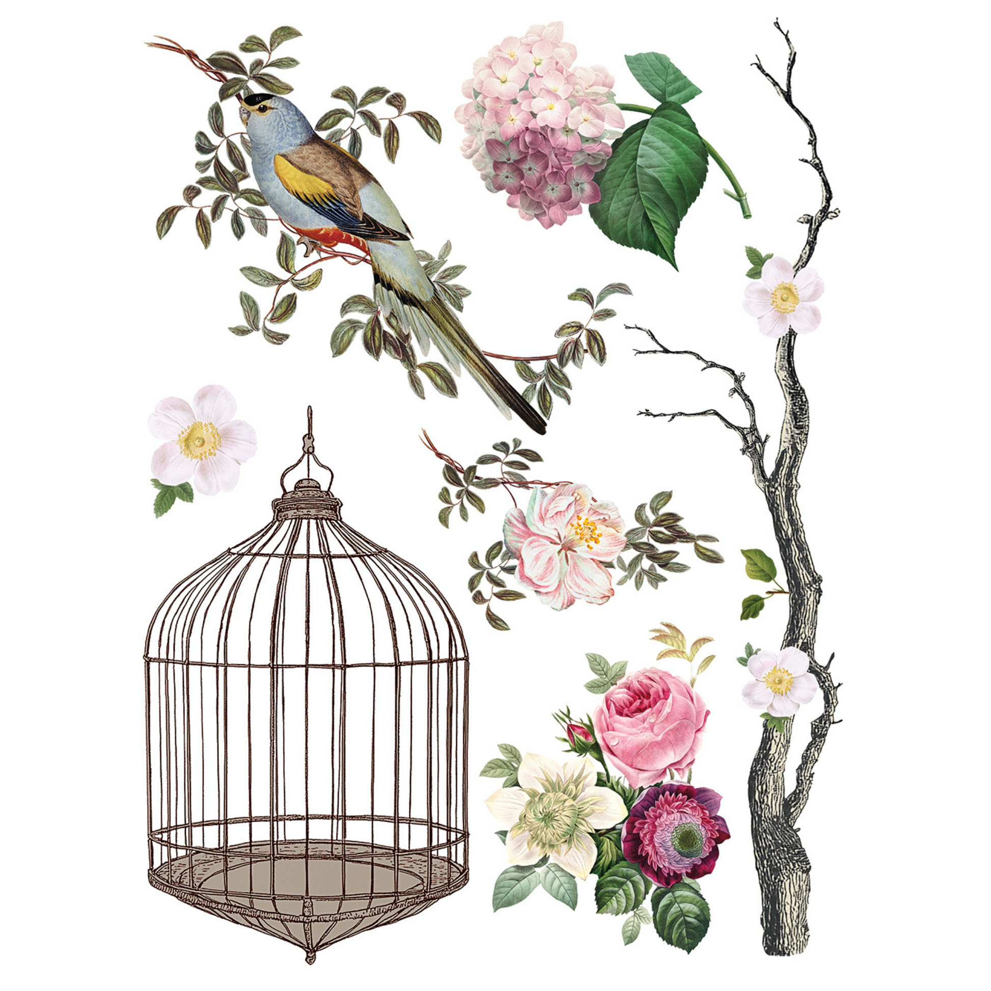 "Menagerie" IOD Transfer by Iron Orchid Designs. Eight 12" x 16" sheets. Available at Milton's Daughter. Page 3.