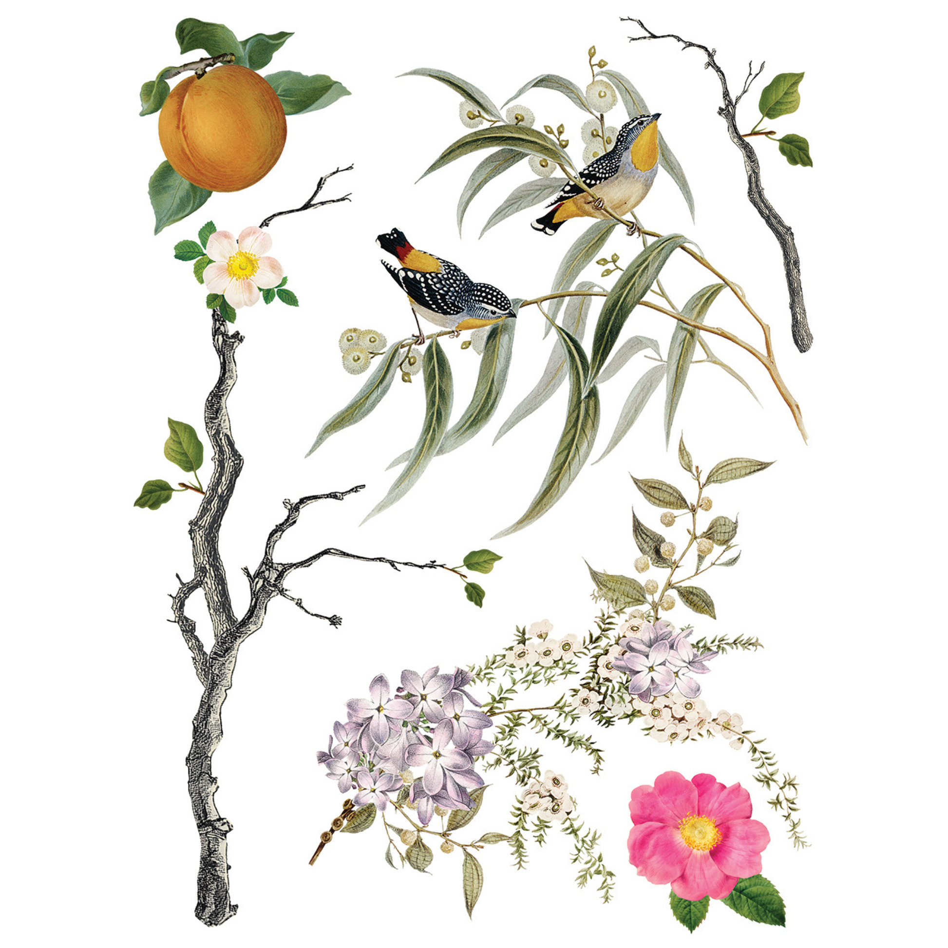 "Menagerie" IOD Transfer by Iron Orchid Designs. Eight 12" x 16" sheets. Available at Milton's Daughter. Page 4.