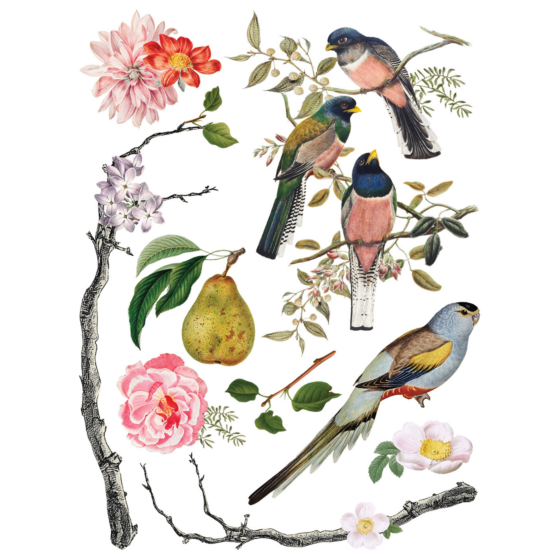 "Menagerie" IOD Transfer by Iron Orchid Designs. Eight 12" x 16" sheets. Available at Milton's Daughter. Page 6.
