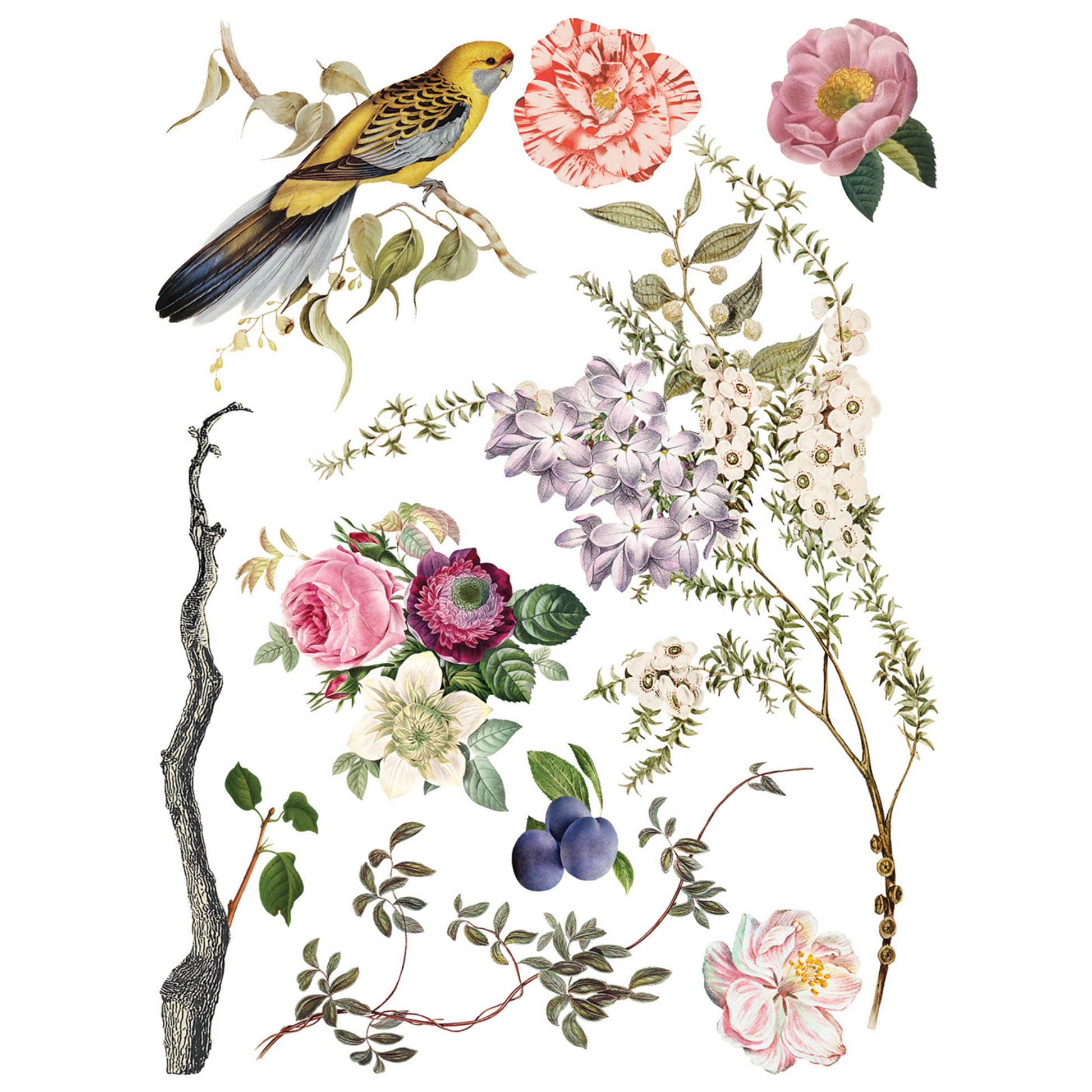 "Menagerie" IOD Transfer by Iron Orchid Designs. Eight 12" x 16" sheets. Available at Milton's Daughter. Page 7.