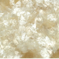 Close-up of beige pearlescent textured material