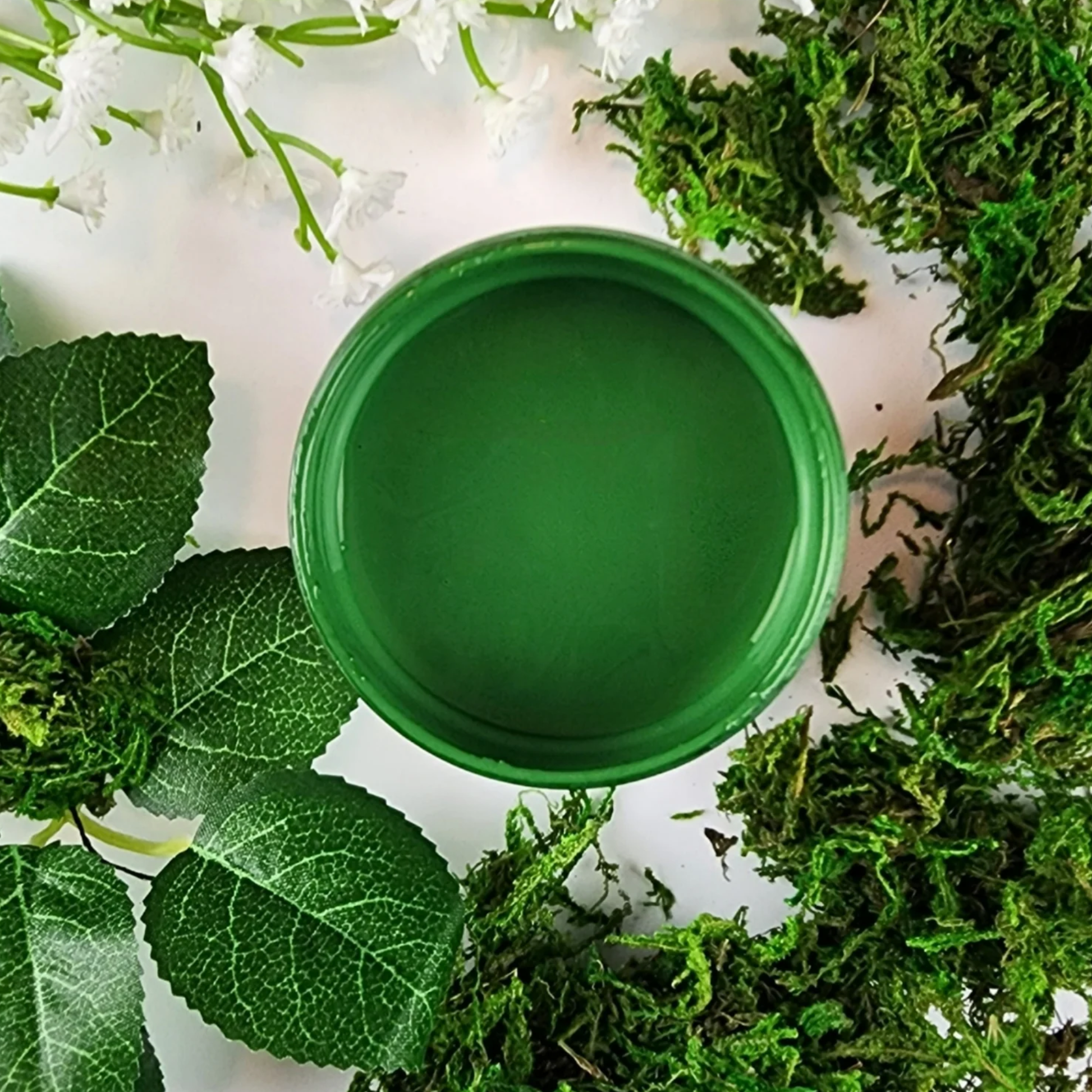 Image of open jar of grass green colored paint with moss and leaves on a white background.