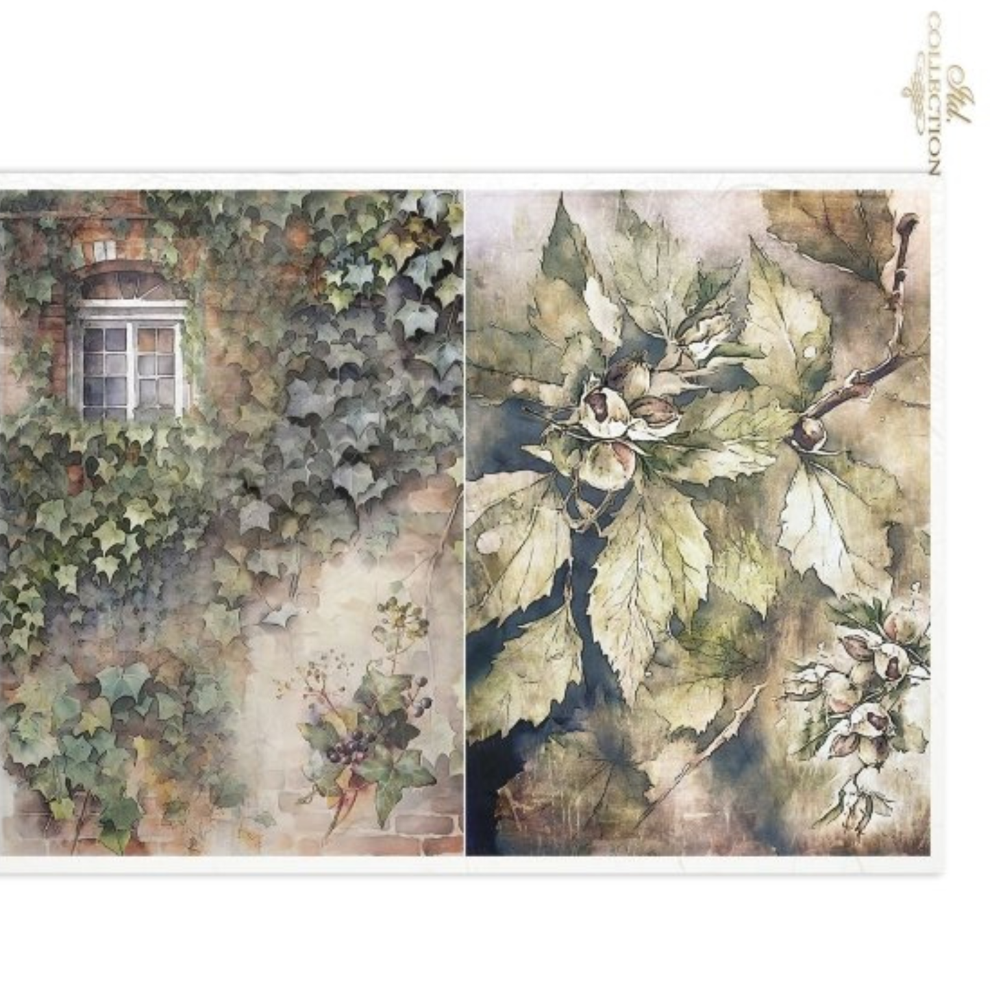 2 images-Watercolor painting of a window with ivy plus autum leaves.