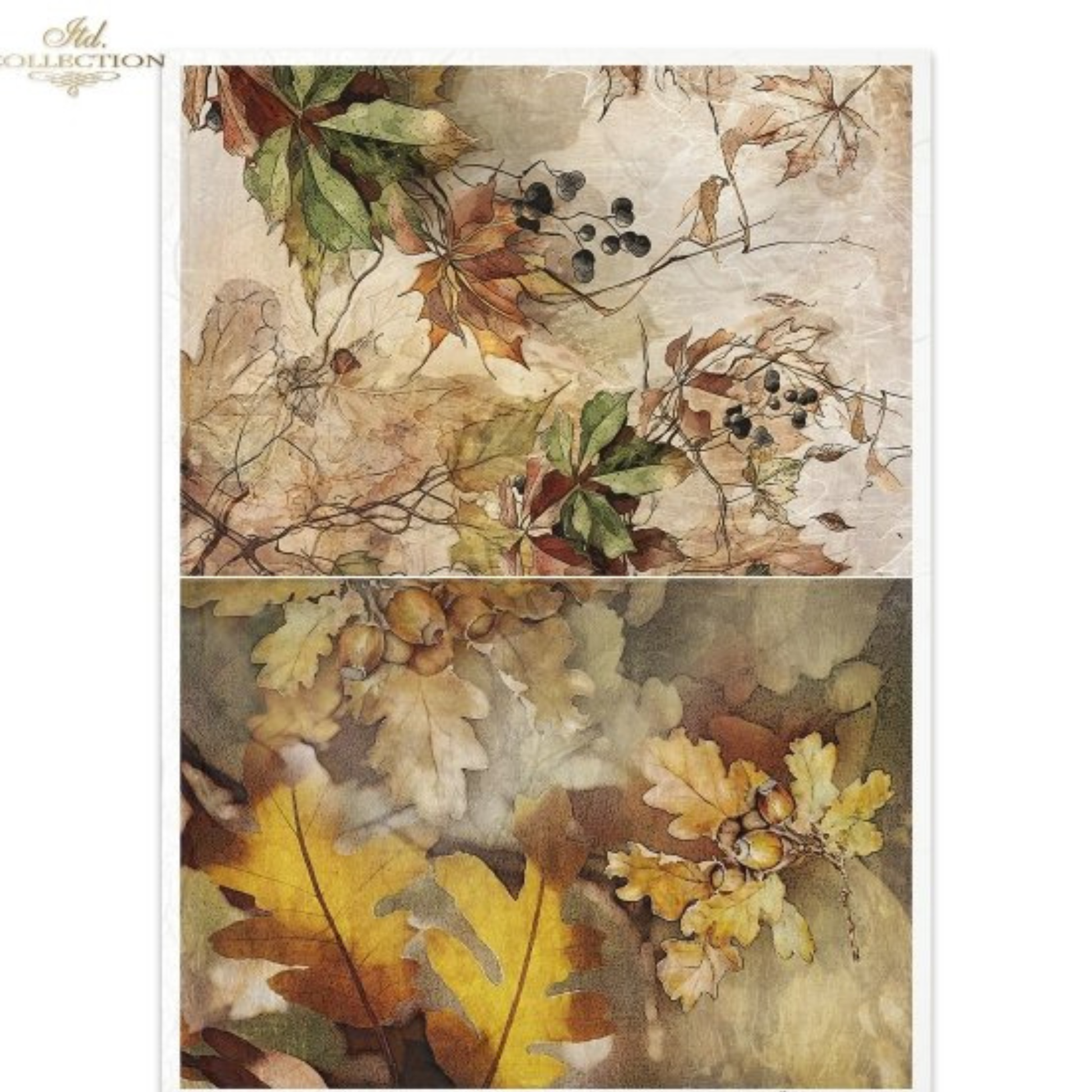 Two autumn-themed paper designs with leaves and berries on a textured background.