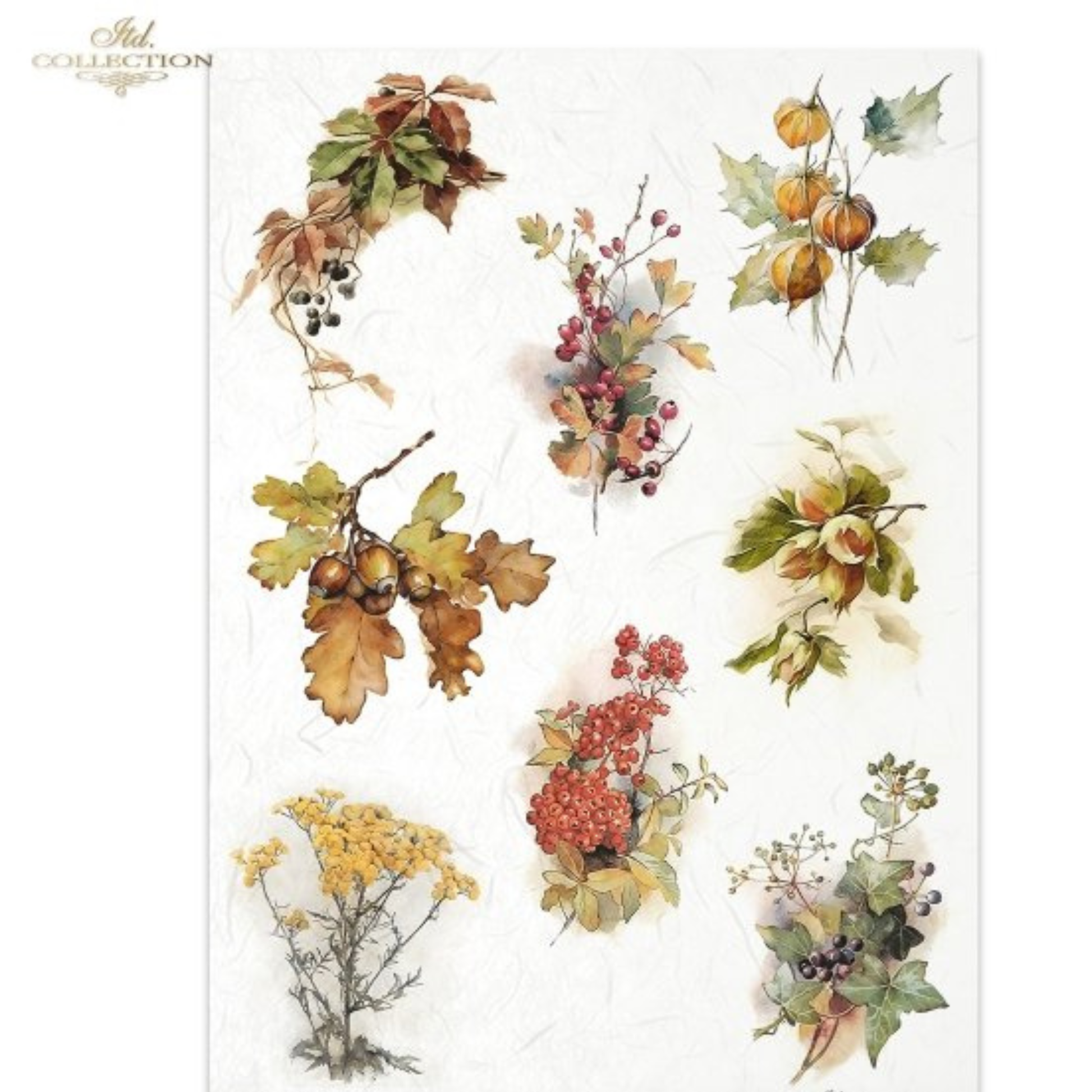 Decorative paper with autumn-themed elements including leaves, berries, and nuts on a white background.