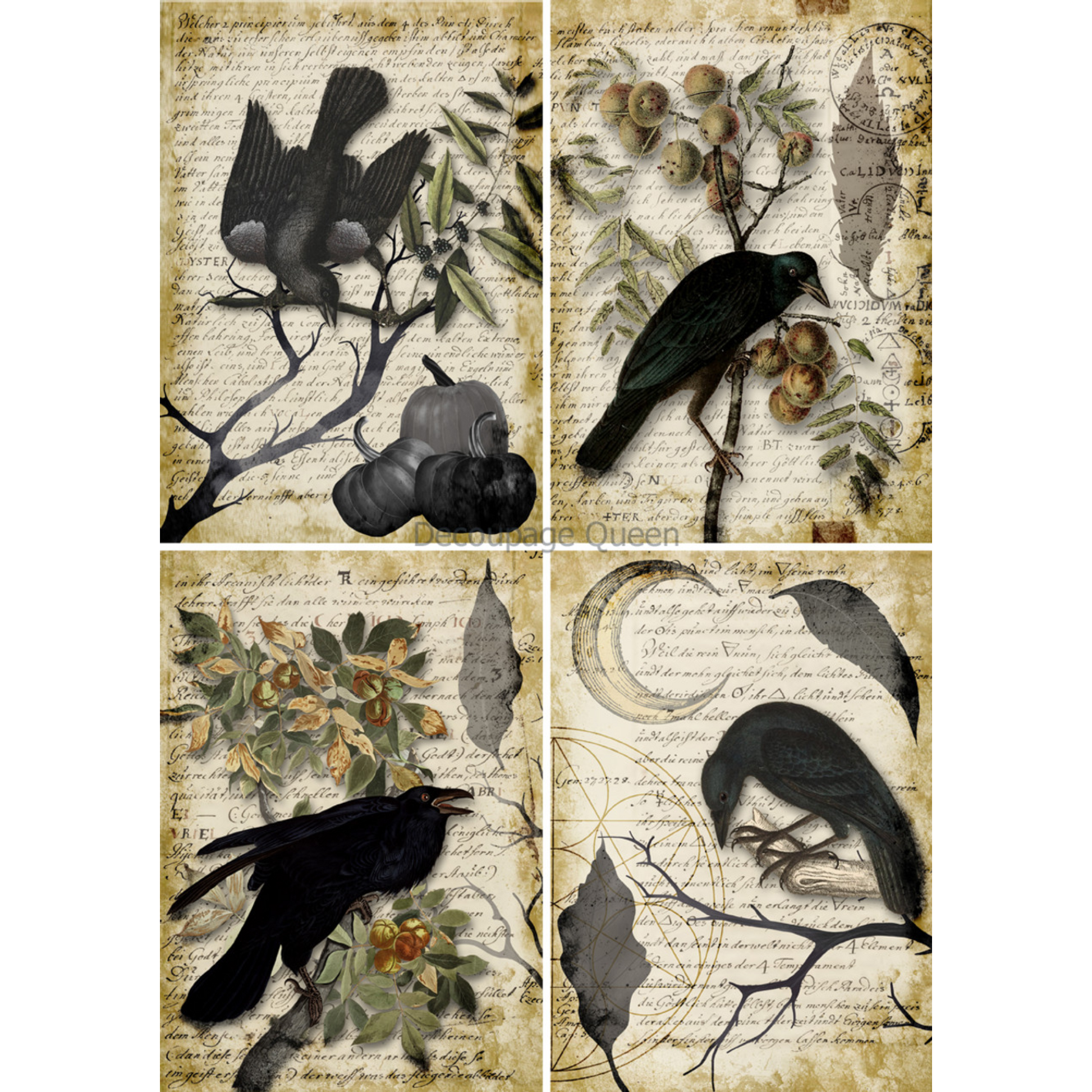 "Raven Grimoire 4 Pack" decoupage rice paper by Decoupage Queen. Available at Milton's Daughter.