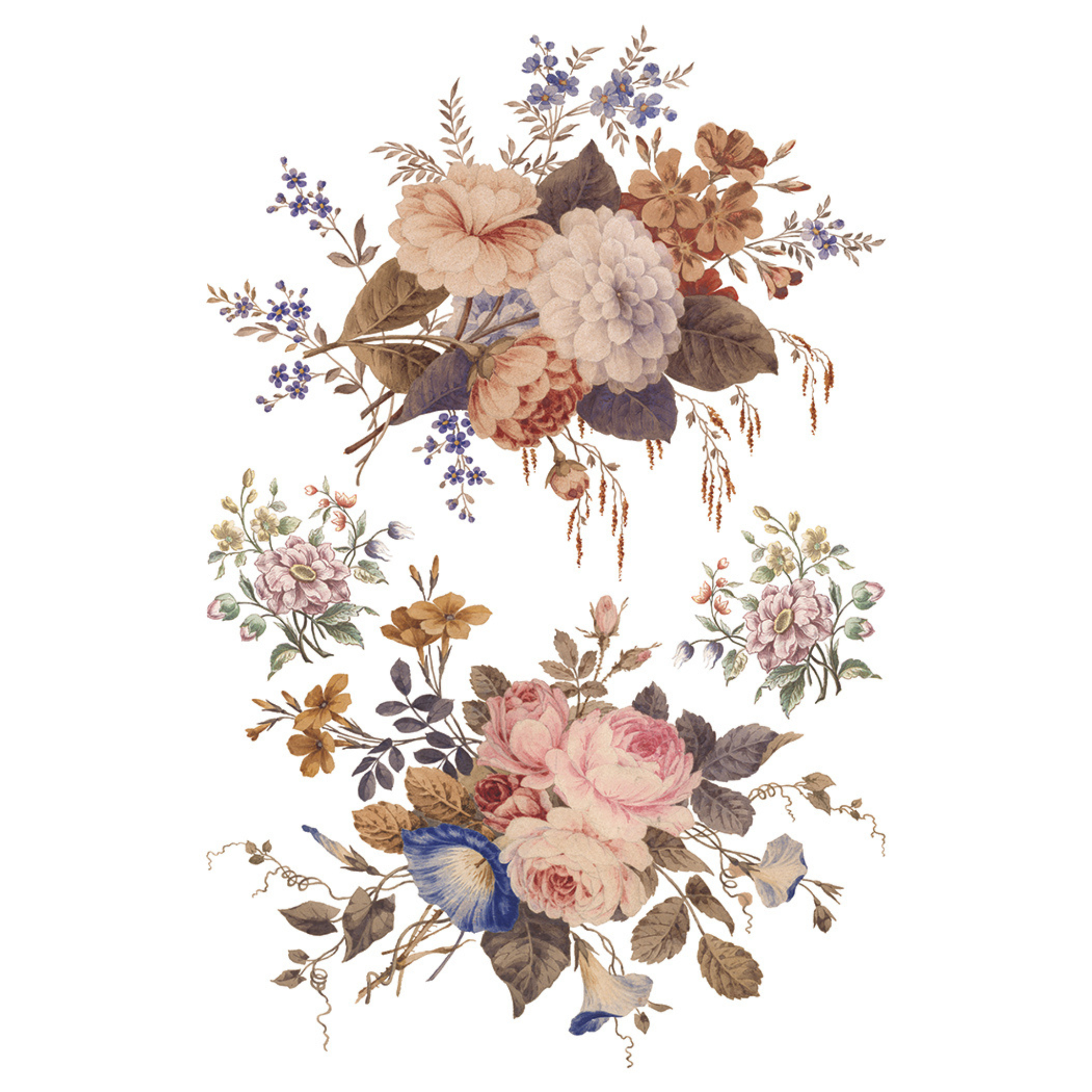 Decorative floral design on a white background