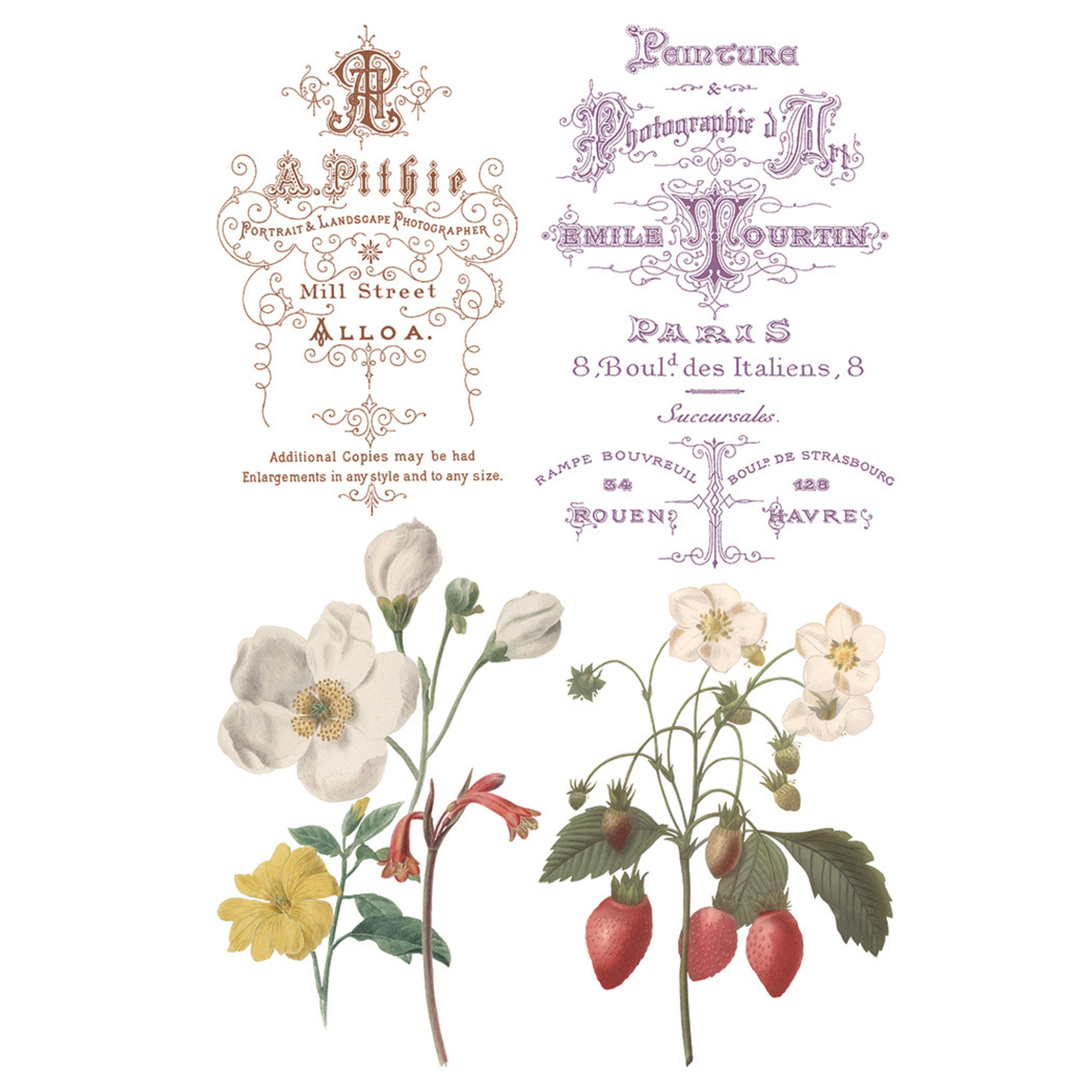 Decorative vintage-style text with floral illustrations on a white background