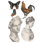 Illustrations of classical busts, butterflies, and a rooster on a white background