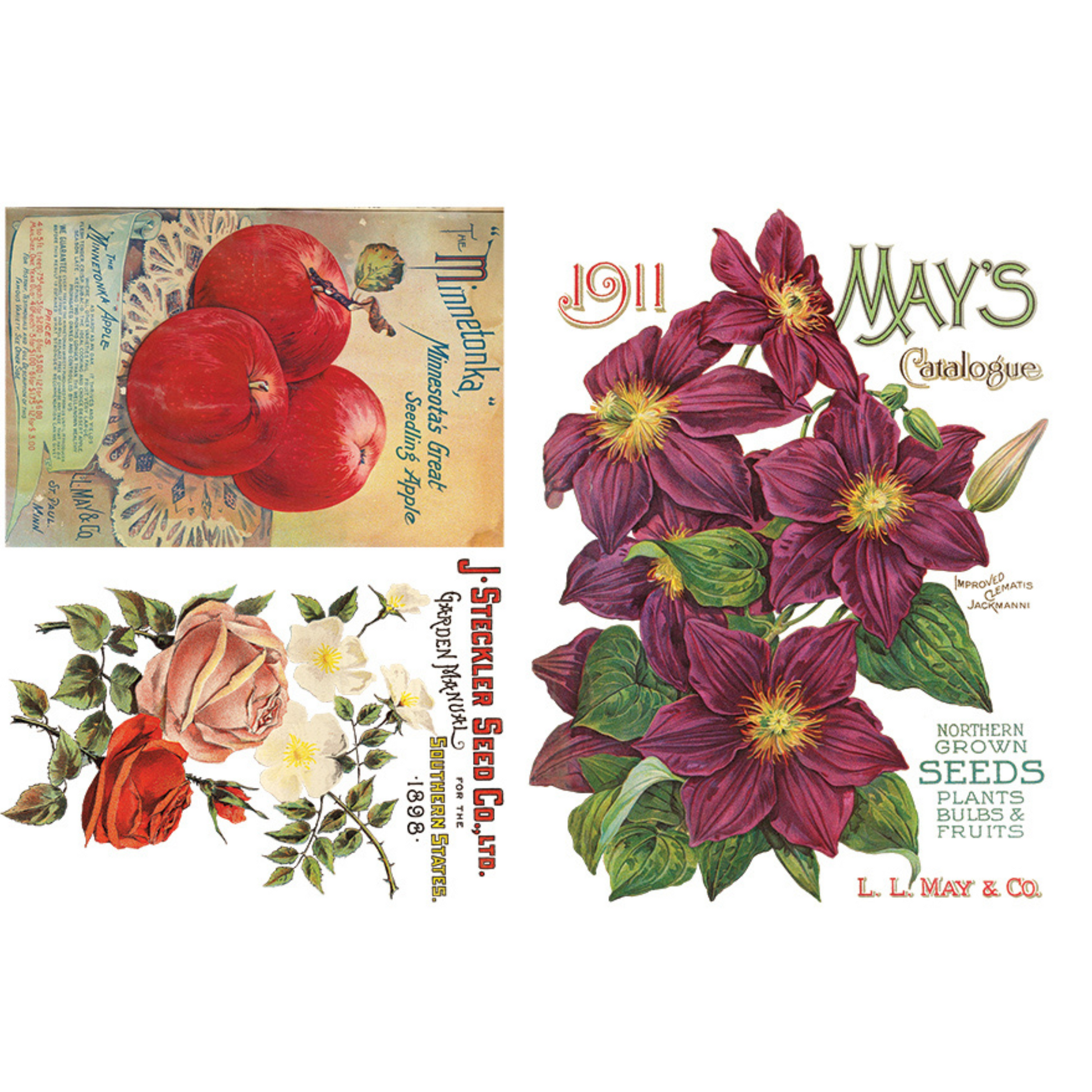 "Seed Catalogue" IOD Transfer by Iron Orchid Designs. Sheet 4 of 8. Available at Milton's Daughter.