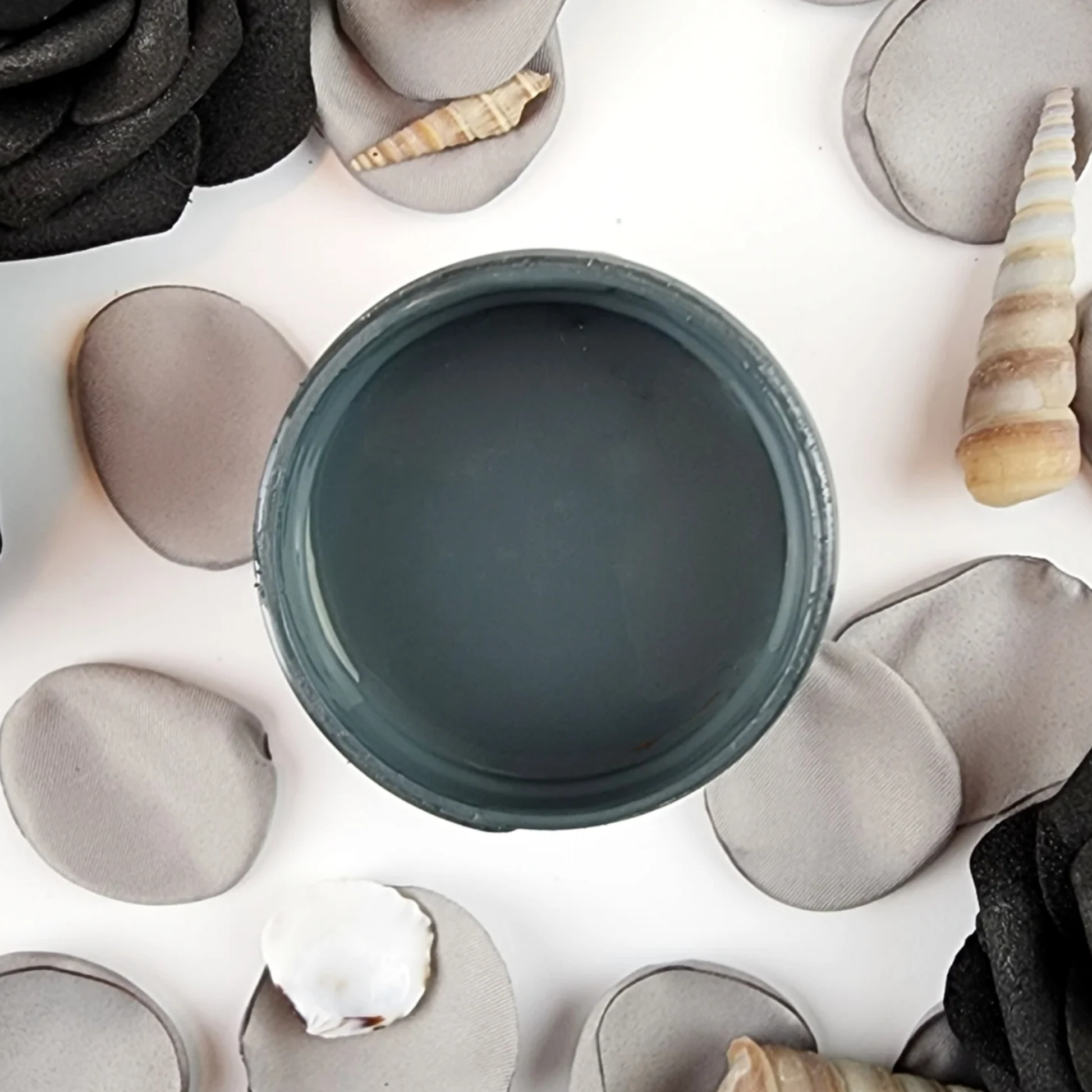 Open jar of dark gray colored paint with grey and beige flower peteals and sea shells in the background.