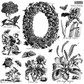 Nature's Etchings IOD Stamp by Iron Orchid Designs. Sheet 2 of 2. Illustrations of flowers, plants, and butterflies in black and white on a white background.