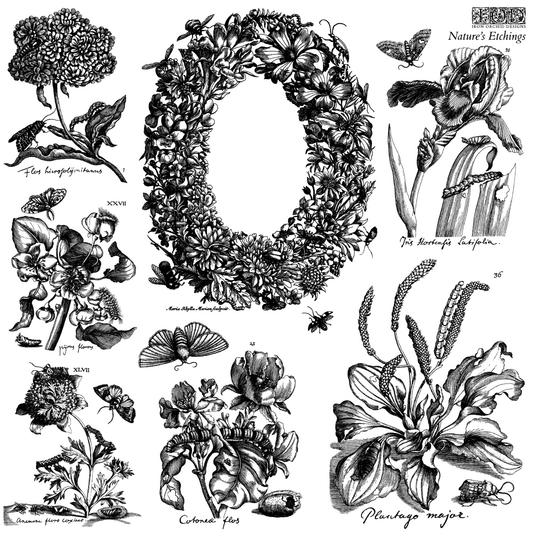Nature's Etchings IOD Stamp by Iron Orchid Designs. Sheet 2 of 2. Illustrations of flowers, plants, and butterflies in black and white on a white background.