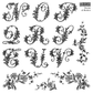 Decorative mongram style letters from N to V with floral vine elements on a white background.