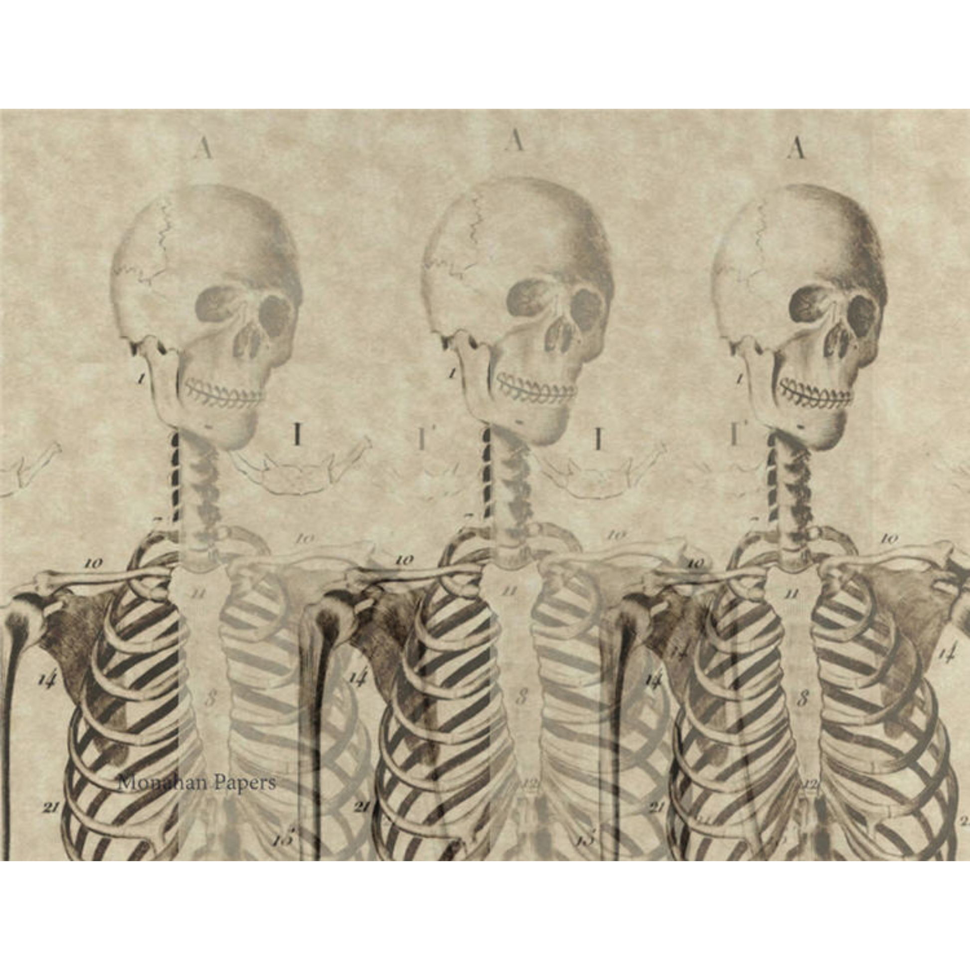 "Skeleton Trio" 24 lb. decoupage paper by Monahan Papers. Available at Milton's Daughter.