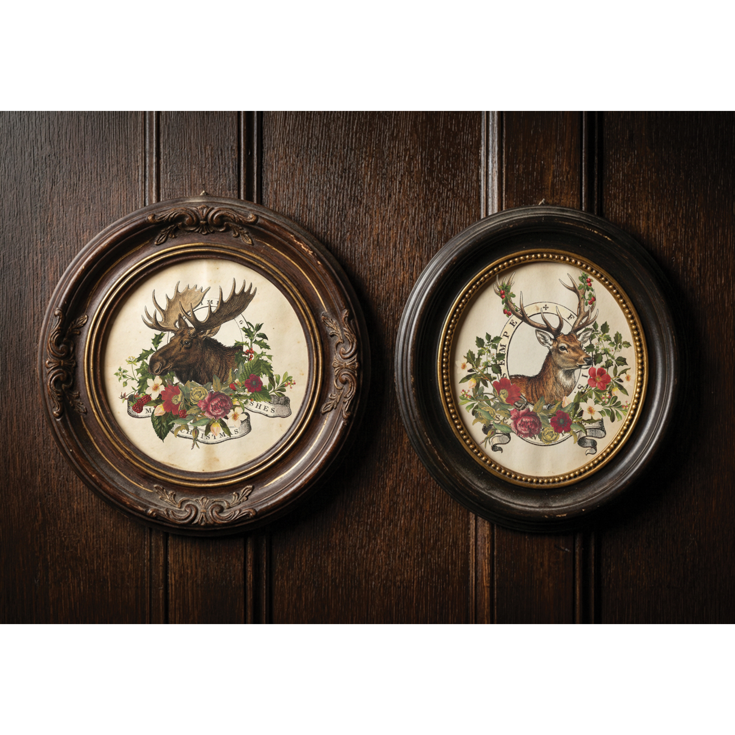 Two round framed vintage-style wall art pieces hanging side by side on a dark wood paneled wall. The left piece shows a moose surrounded by flowers, and the right piece shows a deer surrounded by flowers, each in an ornate dark frame.
