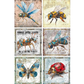 Set of six vintage-style steampunk insect posters with detailed illustrations on a white background.