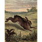 "Through the Meadow" 24 lb. decoupage paper by Monahan Papers. Available at Milton's Daughter.