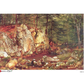A scenic landscape showing a rocky forest clearing with large boulders, trees, and a small stream.