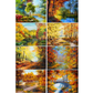 A grid of eight colorful autumn landscape images, each showing trees with yellow, orange, red, and blue foliage beside water, paths, bridges, and sunlit forest scenes.